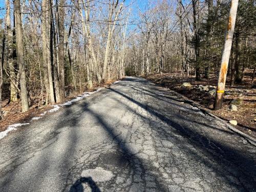 Typical SFDR Candidate (Sacarrappa Road)