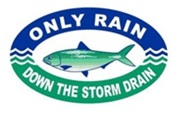 Only Rain Down the Storm Drain